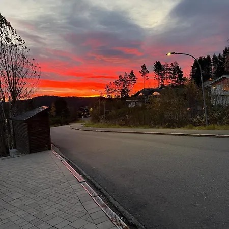 Bright And Modern In Austad Skog * Drammen
